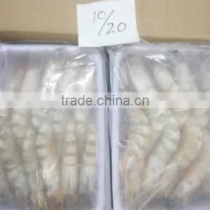 Sea Shrimps thumbnail-1