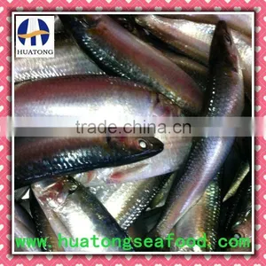 Frozen Whole Sardines Fish(sardinella Longiceps) thumbnail-1