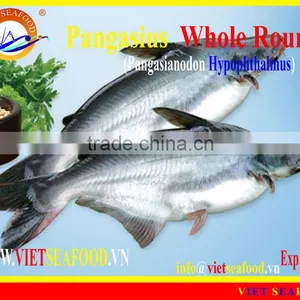 FROZEN W/R PANGASIUS thumbnail-1
