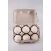 Paper Egg Box Packaging thumbnail-1