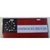 License Plate thumbnail-1