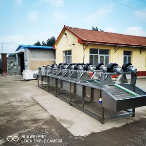Factory Supply Fruit And Vegetable Tunnel Nets Belt Drying Machine thumbnail-5