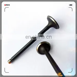 Oem 4A13-1007011 4A13-1007017 Engine Valve for 4A15 thumbnail-6