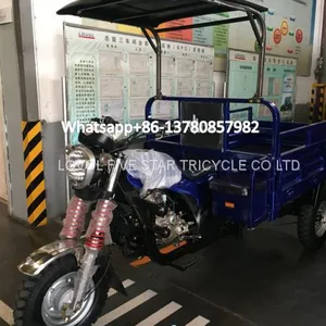 China Gasoline Tricycle Cargo Loader Lovol Three Wheeler Mali Ethiopia Ghana Bukina Faso Tanzania Kenya Senegal Togo Benin Nigeira Mauritania Angola Burundi Chad Cameroon C ô te D'Ivoire Gabon Guinea thumbnail-1