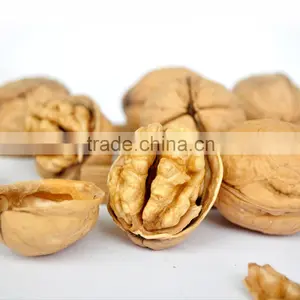 Hand Peel Thin Walnut thumbnail-1