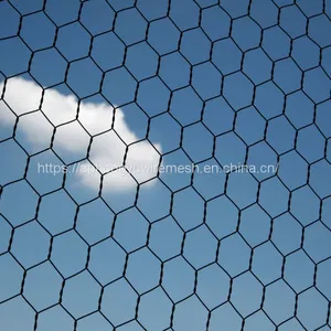 Chicken Wire Hexagonal Wire Mesh Chicken Wire Netting Wire Netting Poultry Fence Poultry Mesh thumbnail-1