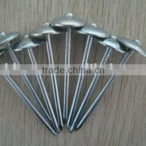 TWISTS ROOFING NAILS thumbnail-1