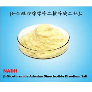 NADH β-Nicotinamide Adenine Dinucleotide Disodium Salt thumbnail-1