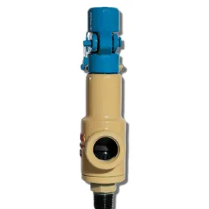 High Quality Carbon Steel Pressure Relief Valve Threaded Safety Valve thumbnail-2