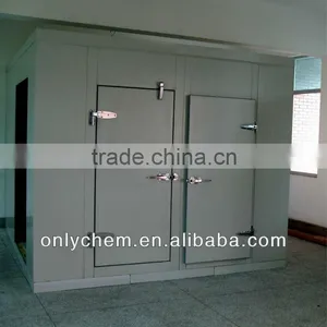 Frozen Cold Storage Room thumbnail-1