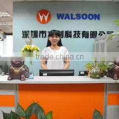 Walsoon Technology Co., Ltd. company overview - view 1 thumbnail
