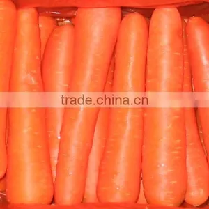 2014 Chinese Fresh Carrot thumbnail-1