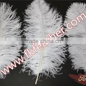 Large White Ostrich Feather Long 50cm-55cm Wedding And Stage Decorations thumbnail-1