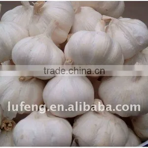 Chinese New Crop Fresh White Garlic thumbnail-1