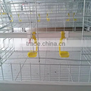 Broiler Chicks/poultry Farm and Agriculture Equipments thumbnail-2