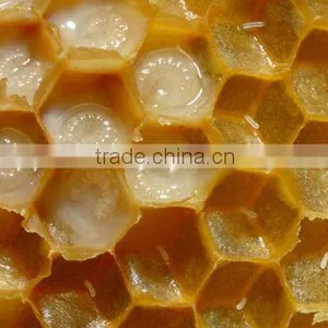 Pure Fresh Queen Royal Jelly for Sale thumbnail-1