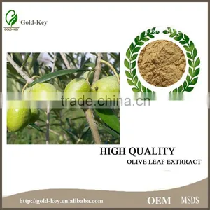 China Supply Olive Leaf Extract, Olive Leaf Powder thumbnail-3