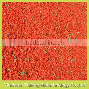 Sweet and Dried Goji Fruit thumbnail-1