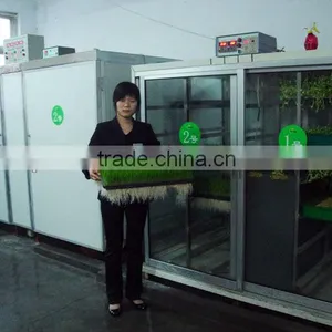 Automatic 50kg/day Barley Sprouting Machine thumbnail-2