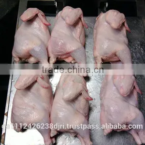 Frozen Chicken to Sell thumbnail-1