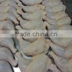 Frozen Halal Chicken Leg Quarters thumbnail-1