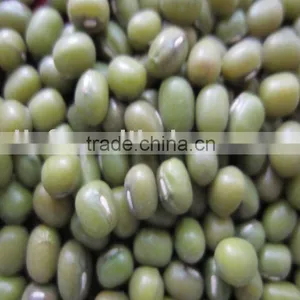 All Sizes of Green Mung Beans 2010 Crop thumbnail-1