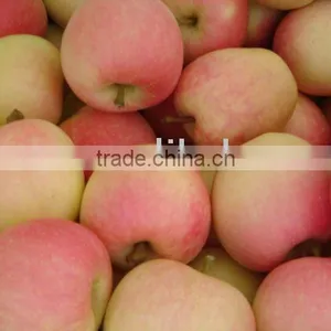 Fresh Gala Apple thumbnail-1
