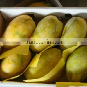Sweet Pakistani Chaunsa Mango thumbnail-1