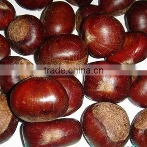 Types of Chinese Origin Fresg Chestnut thumbnail-1