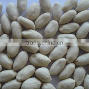 Organic Raw Peanut in Shell in China thumbnail-1
