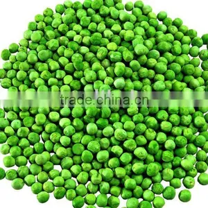 FD Dehydrated Freeze Dried Green Beans thumbnail-1