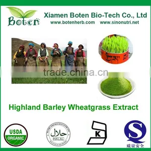 Natural Highland Barley Wheatgrass Juice Extract/barley Wheatgrass Extract/ Wheatgrass Powder/ thumbnail-1