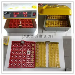 TD-48 Full Automatic Mini Incubator for Parrot thumbnail-1