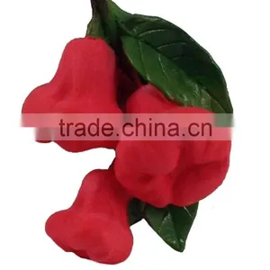 ROSE APPLE FRUIT MAGNET RESIN 3D FRIDGE MAGNET SOUVENIR thumbnail-2