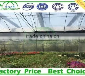 200 Micron Film Multi Span Plastic Film Agricultural Commercial Greenhouse thumbnail-2