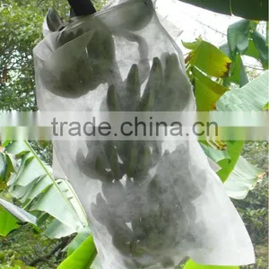 Spunbond 100% pp Nonwoven Fabric Non Woven Fabric Agriculture Fabric thumbnail-3