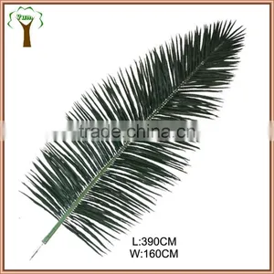 Fake Royal Palm Leaf Royal Palm Tree Provider thumbnail-1