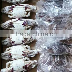 Frozen Whole Blue Swimming Crab For Sale thumbnail-1