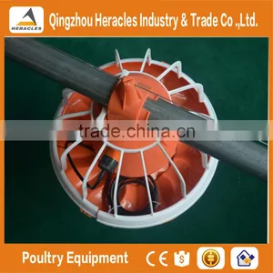 Factory Hight Quality Galvanized Poultry Farm Materials on Sale thumbnail-1
