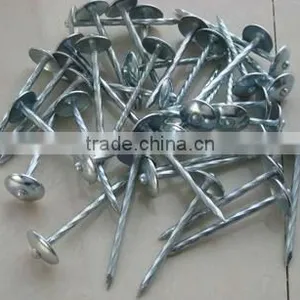 Type of Roofing Nails With Umbrella Head thumbnail-2