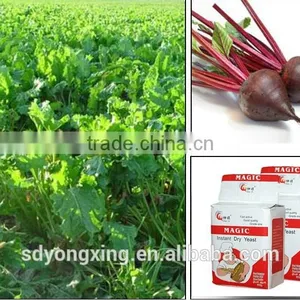 500g/bag High Sugar Instant Dry Yeast Made in China thumbnail-4