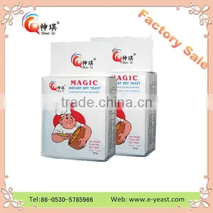 Low Sugar Instant Active Dry Yeast 100g With bv Haccp Halal Certification thumbnail-5