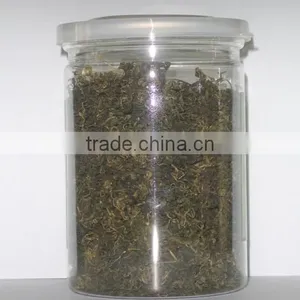 2016 New Herb Jiaogulan /jiaogulan Tea /Gynostemma Tea thumbnail-2