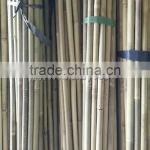 26~28mm Tonkin Bamboo Poles/raw Bamboo Material/bamboo Canes thumbnail-1