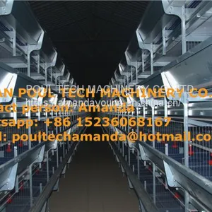 Kuwait Chicken Shed With Poultry Cage for Chicken Feed for Brooding Chicks in Poultry Farming With Chicks Cage thumbnail-2