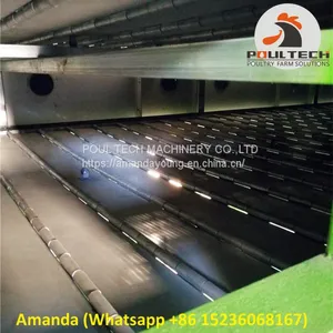 Poultry Farming Automatic Chicken Manure Drying Machine & Automatic Chicken Fowl Dung Drying Machine thumbnail-1