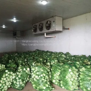 Vegetable Cold Room thumbnail-2