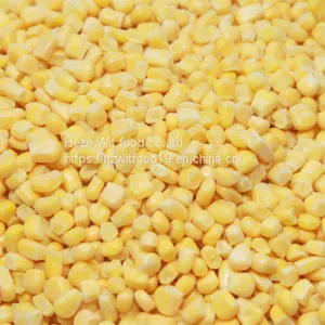 IQF Sweet Corn Kernels thumbnail-2
