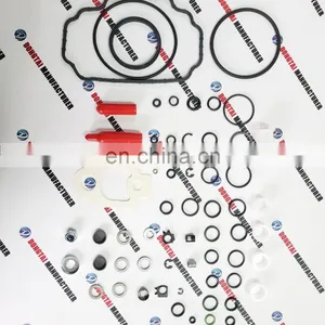 No,623(1) DP210 FUEL PUMP OVERHAUL KIT 7135-277H thumbnail-2