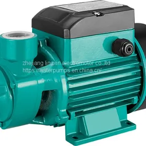 MICRO CLEAN WATER PUMP QB-60 thumbnail-2